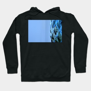 Glassware patterns Hoodie